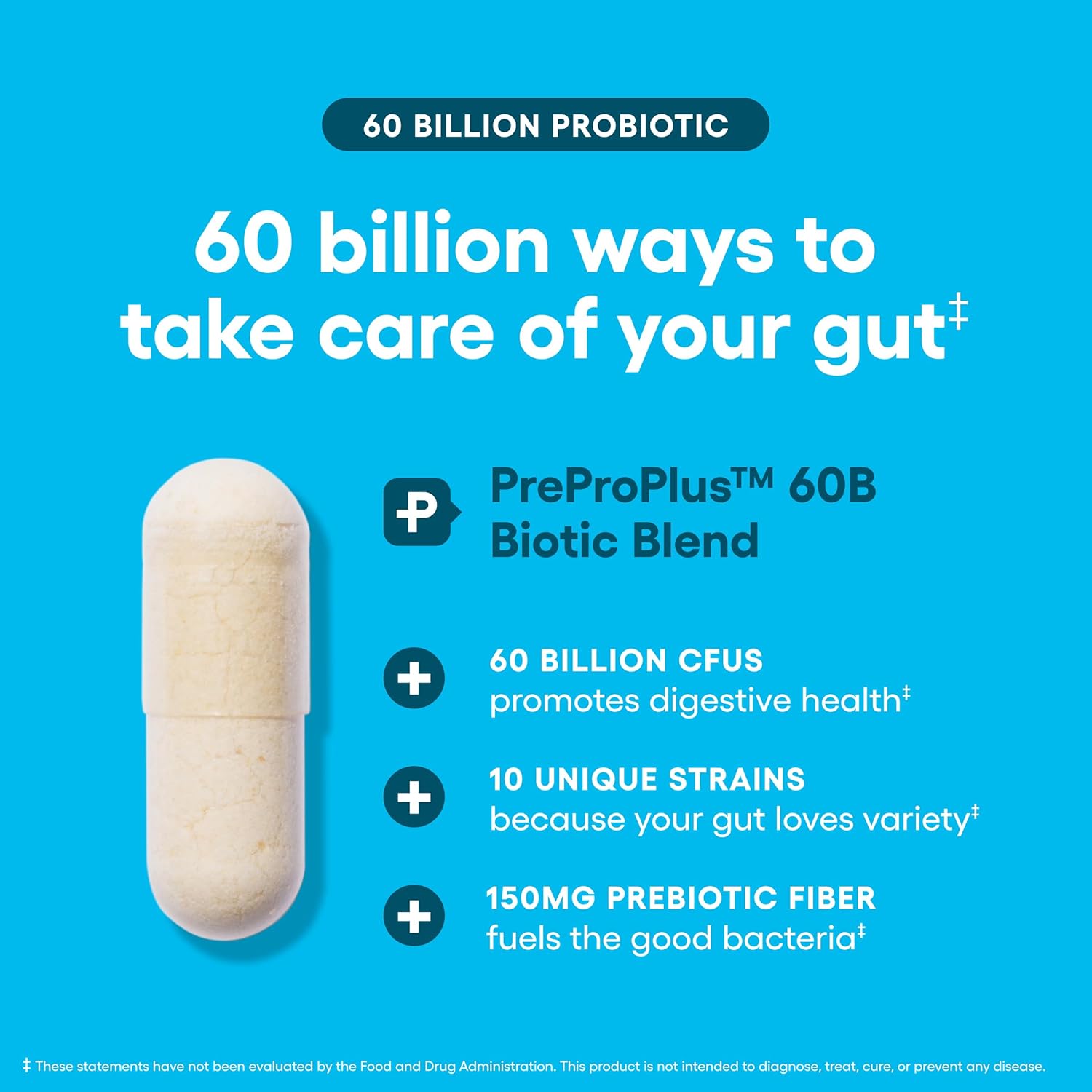 Everyday Daily Gut Support Probiotics Formula